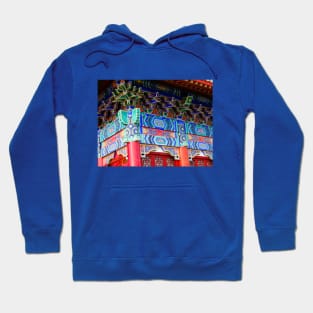 Colorburst Collection 1 Hoodie